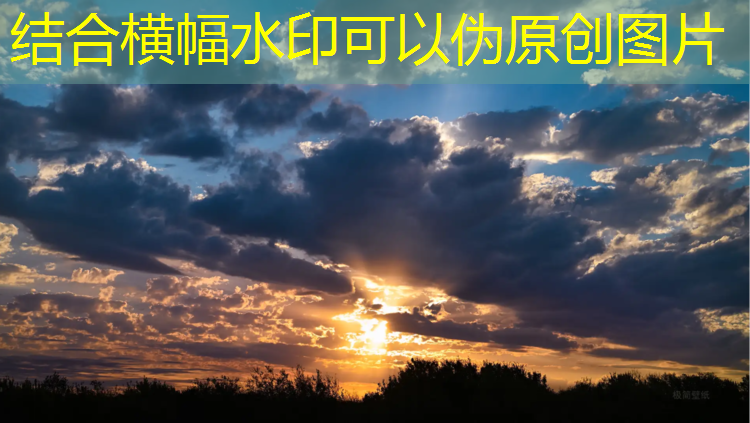 米乐：乒乓球台厚度比较